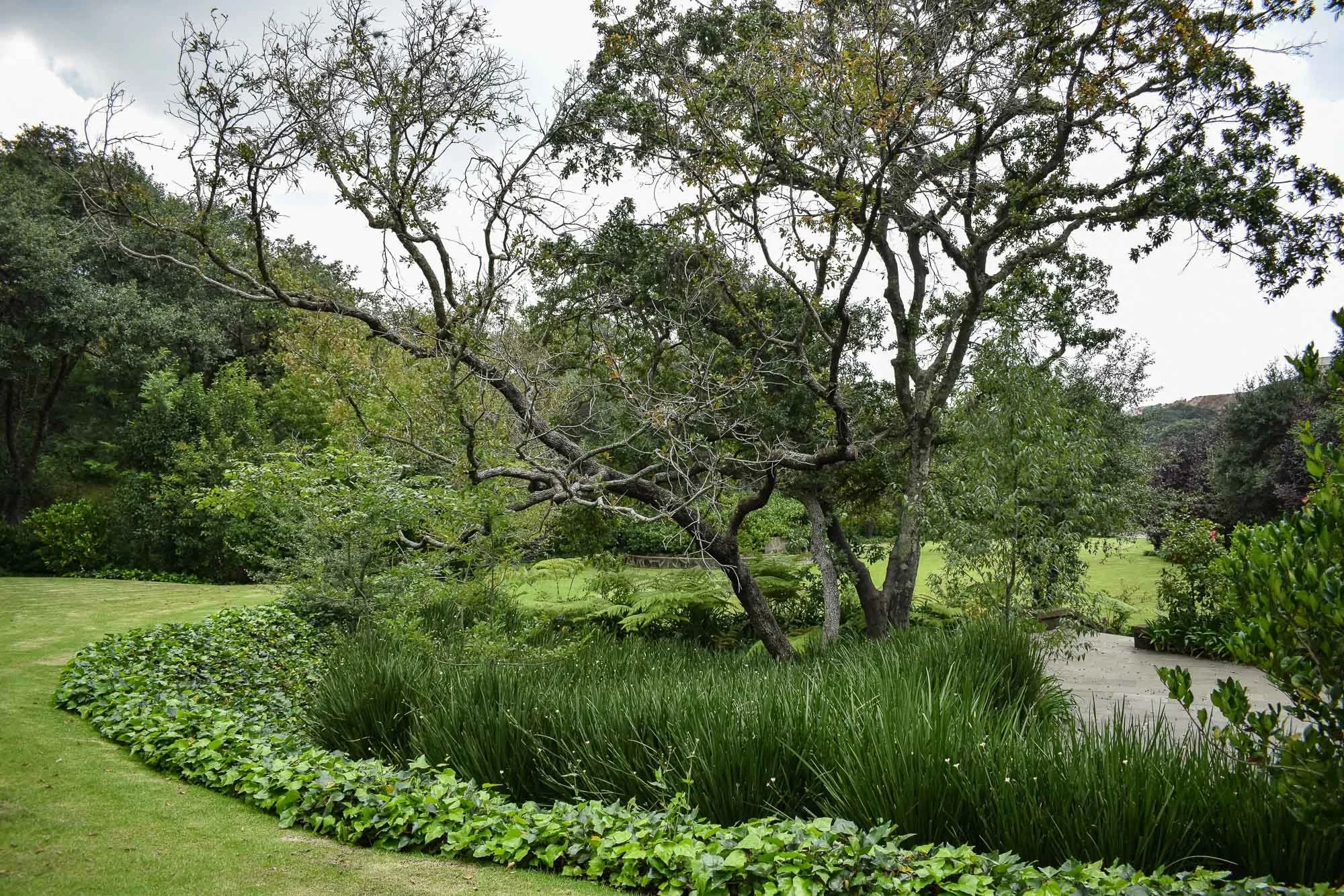 Rancho San Juan-53.jpg