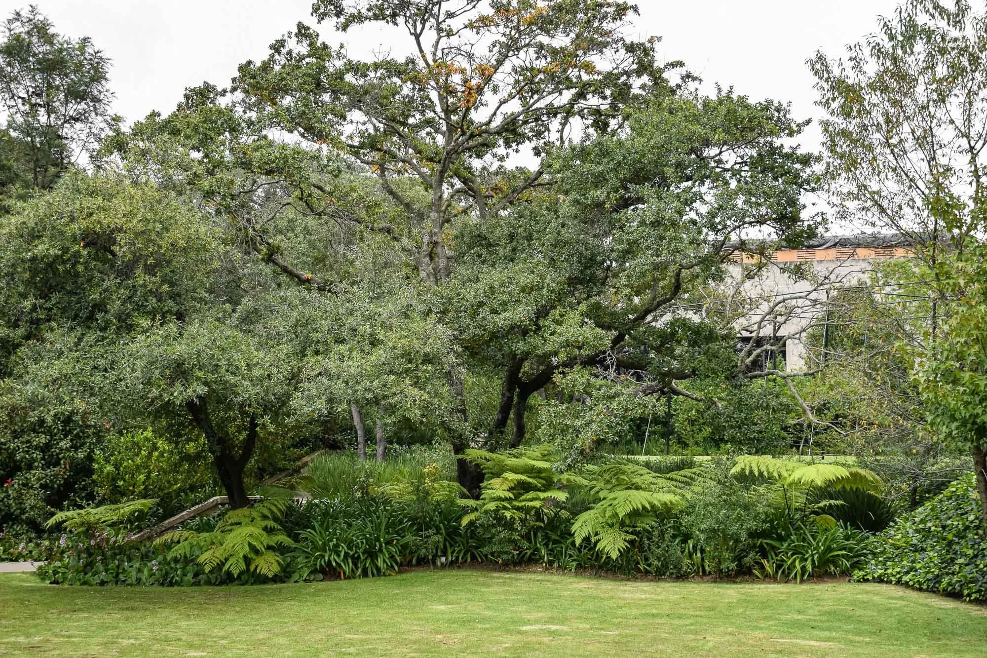 Rancho San Juan-61.jpg