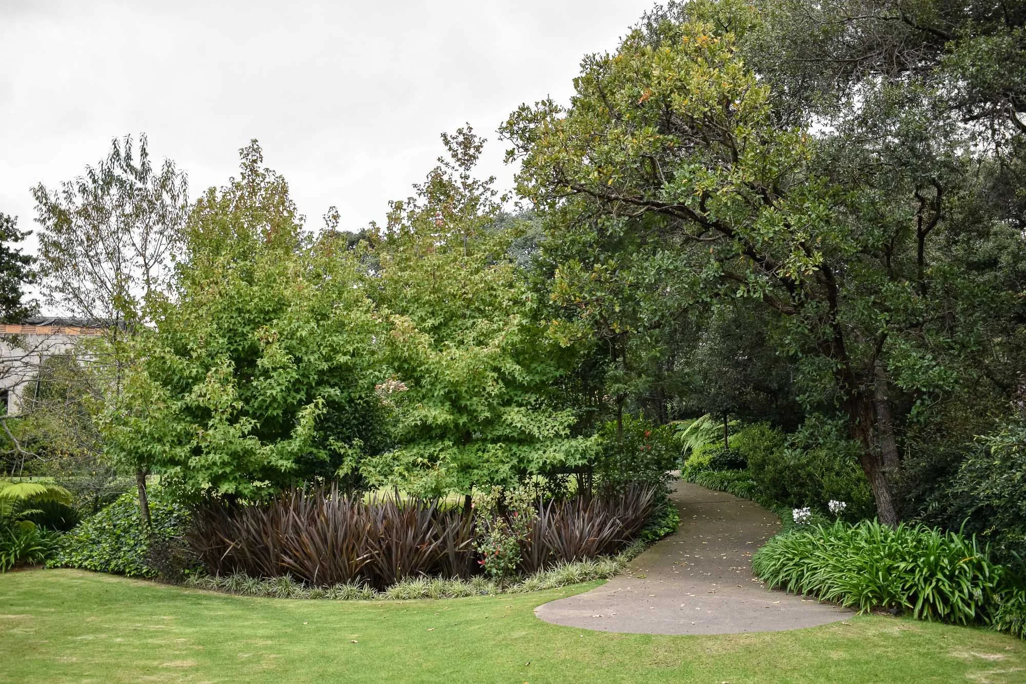 Rancho San Juan-62.jpg