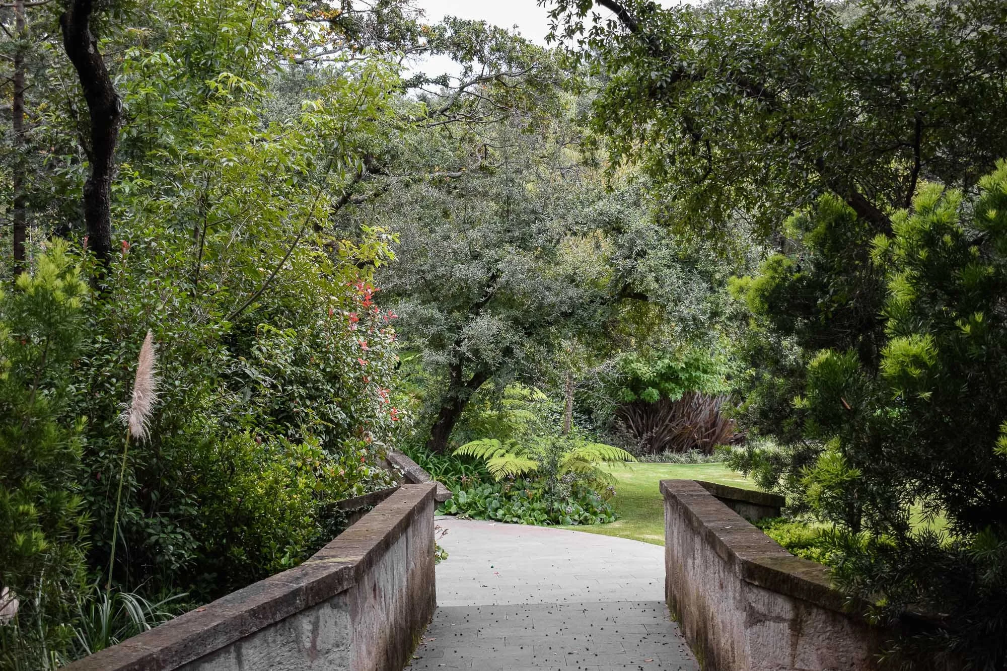 Rancho San Juan-83.jpg