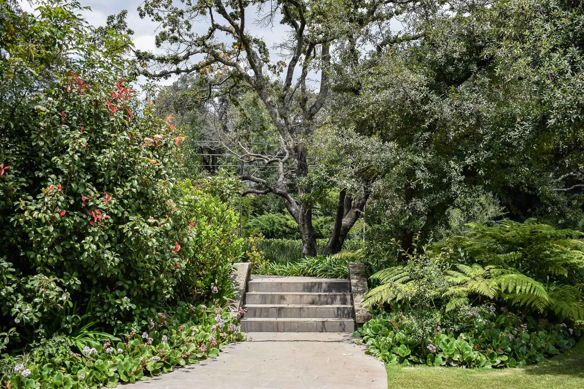 Rancho San Juan-86.jpg