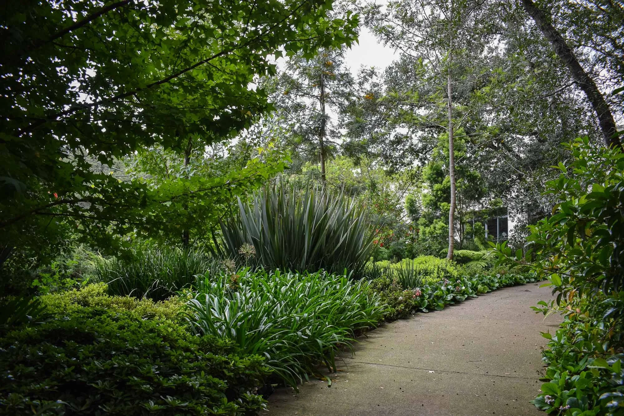 Rancho San Juan-98.jpg