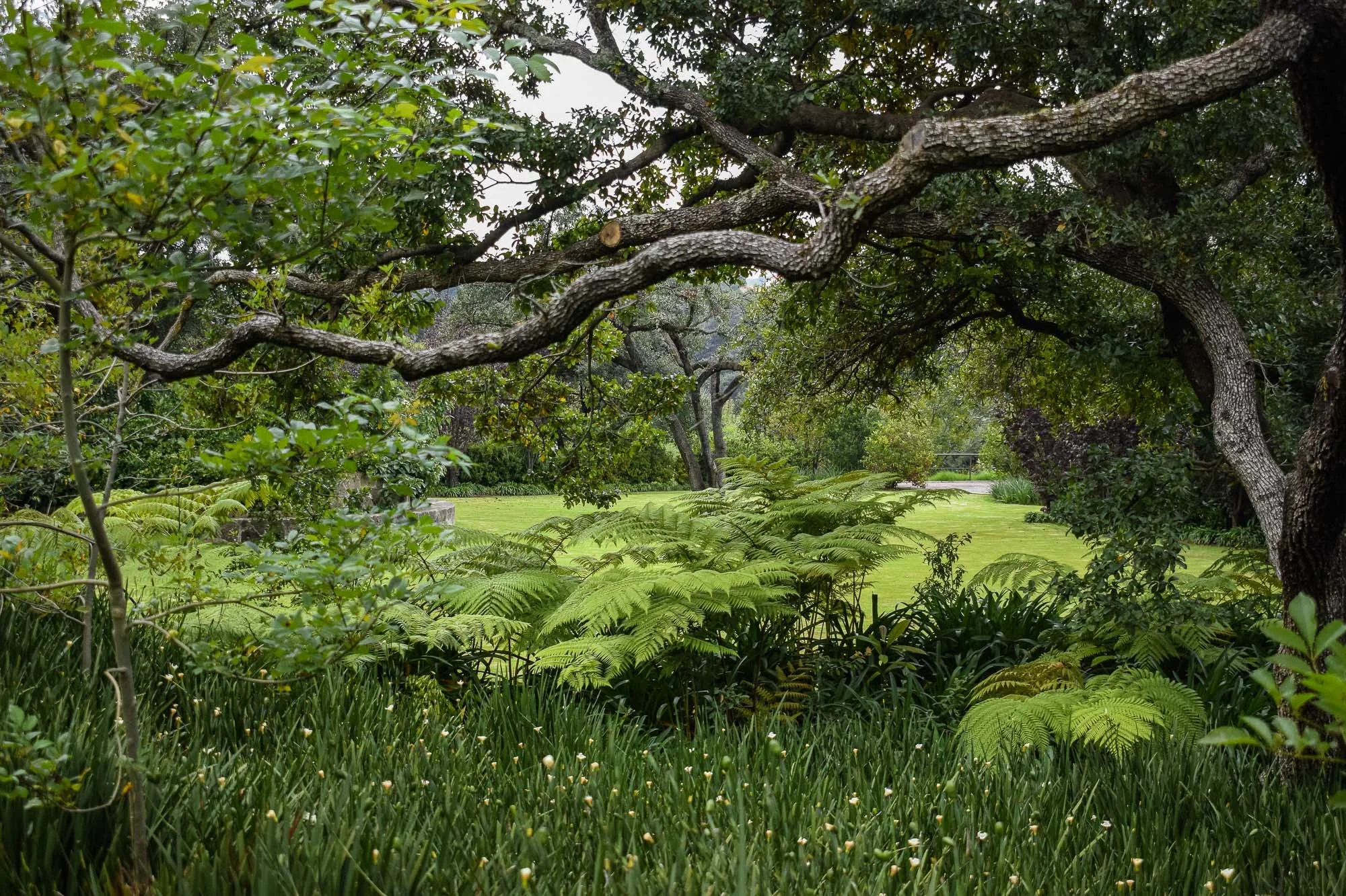 Rancho San Juan-104.jpg