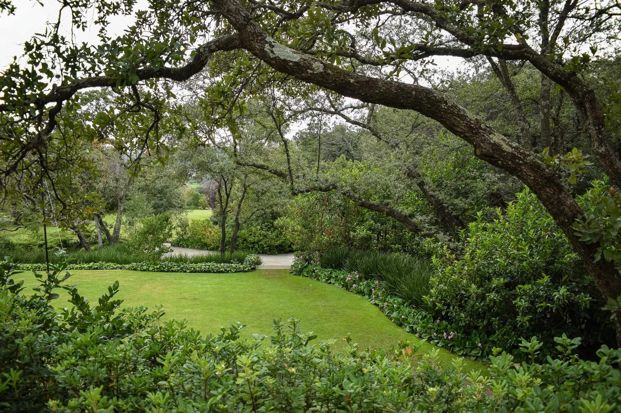 Rancho San Juan-6.jpg