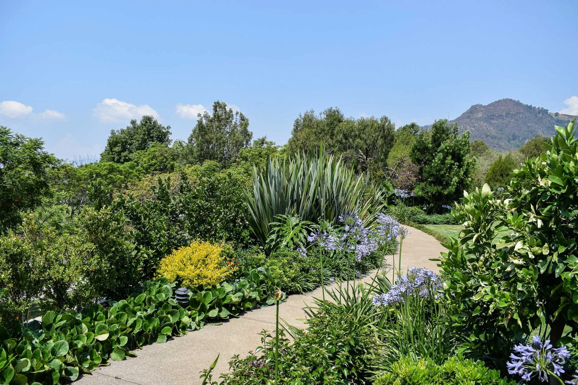 Malinalco-24.jpg