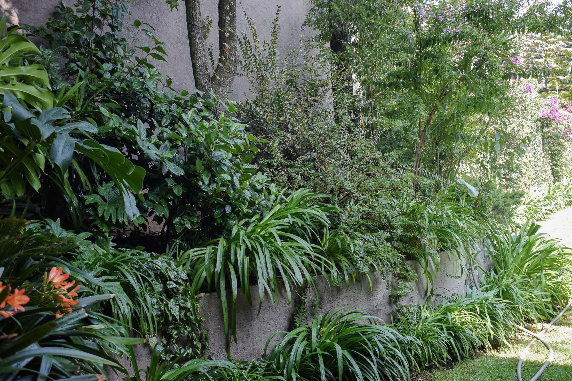 Flores-40.jpg