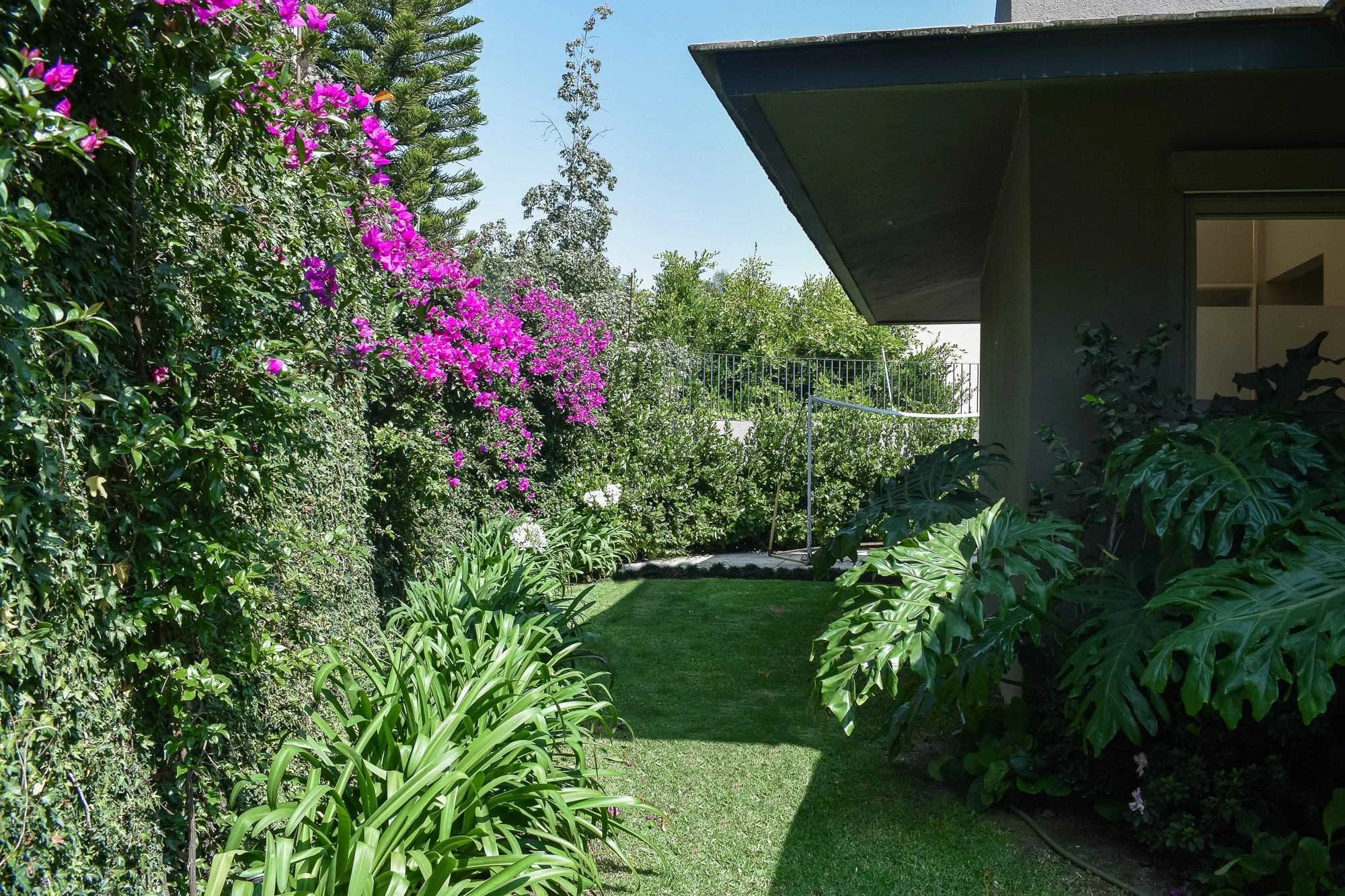 Flores-46.jpg