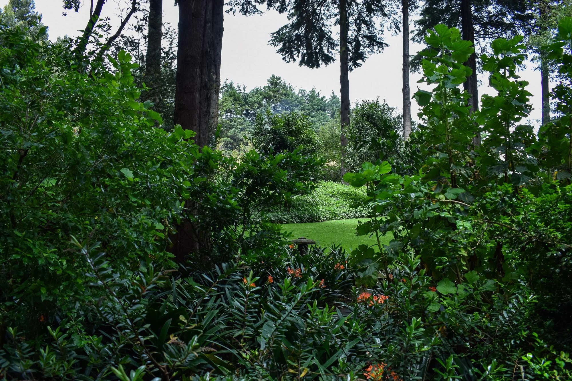 Santa Teresa-35.jpg