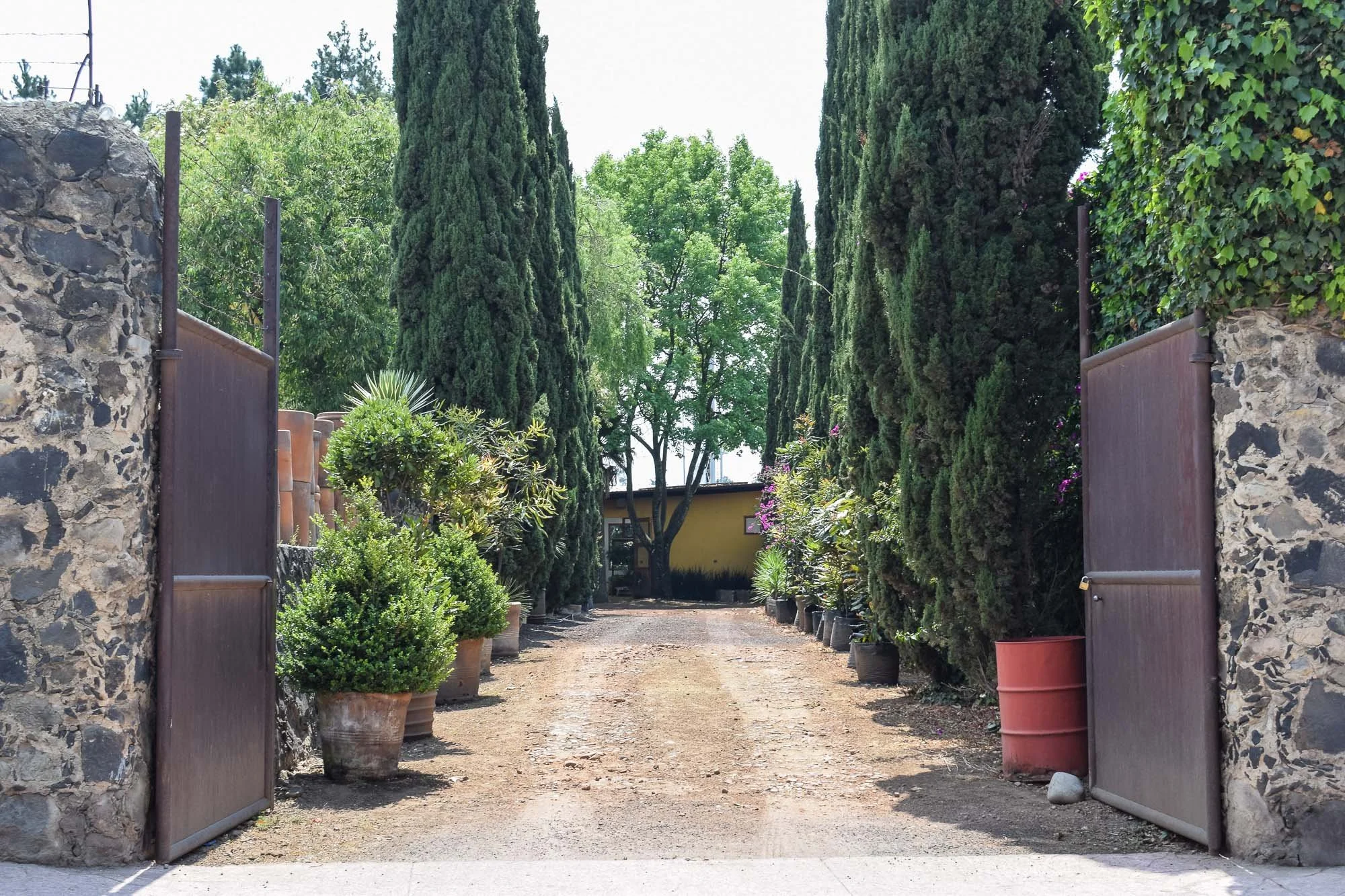 Vivero-1.jpg
