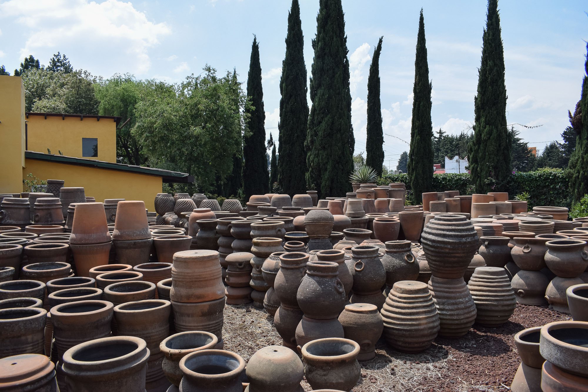 Vivero-3.jpg