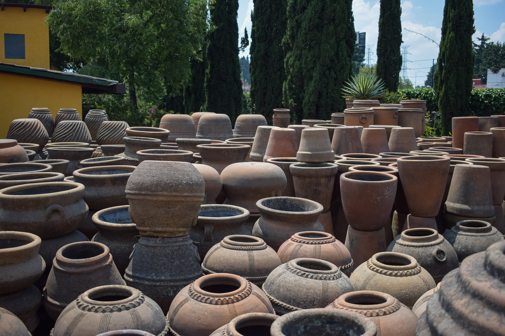 Vivero-5.jpg