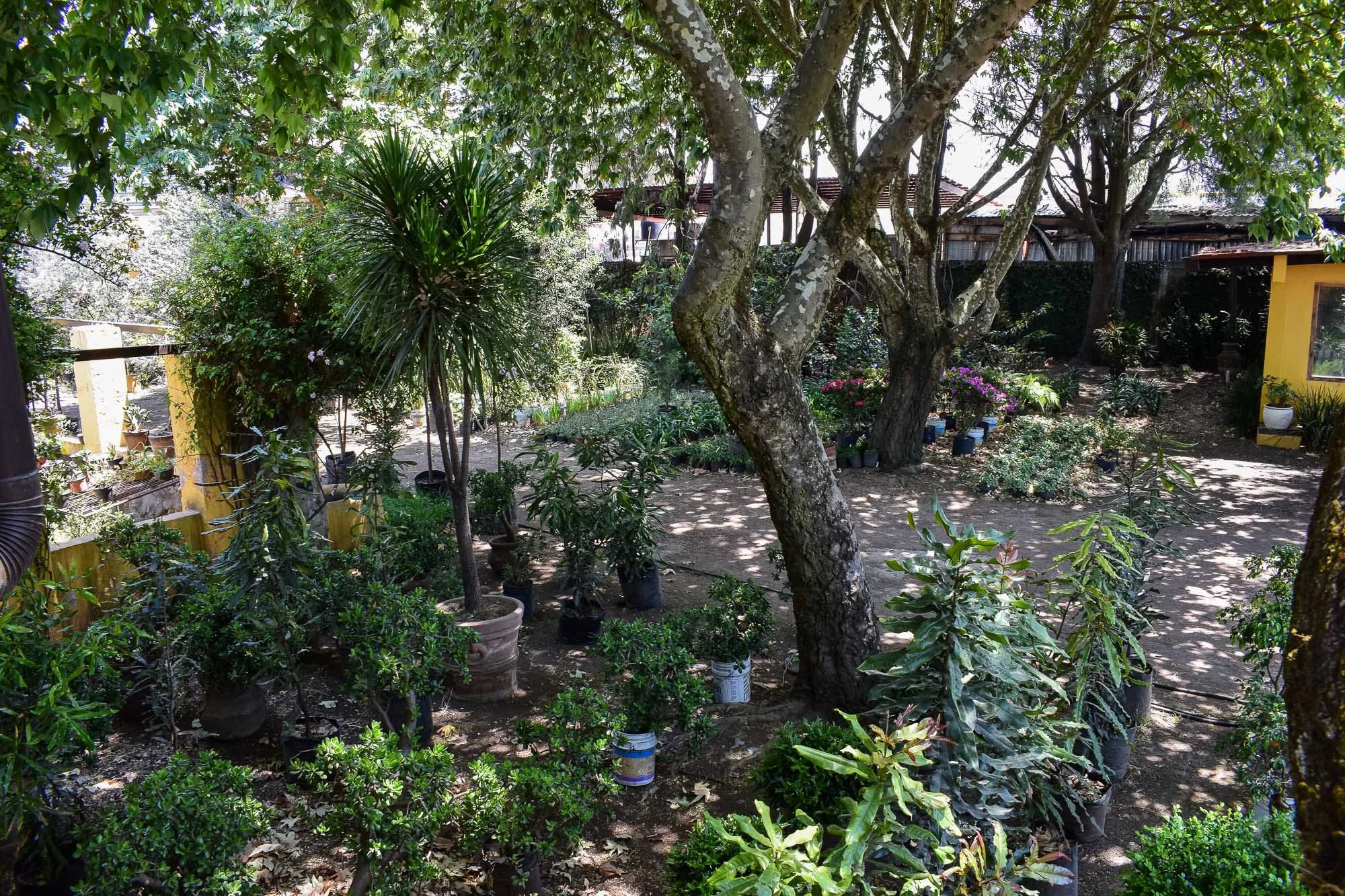 Vivero-8.jpg