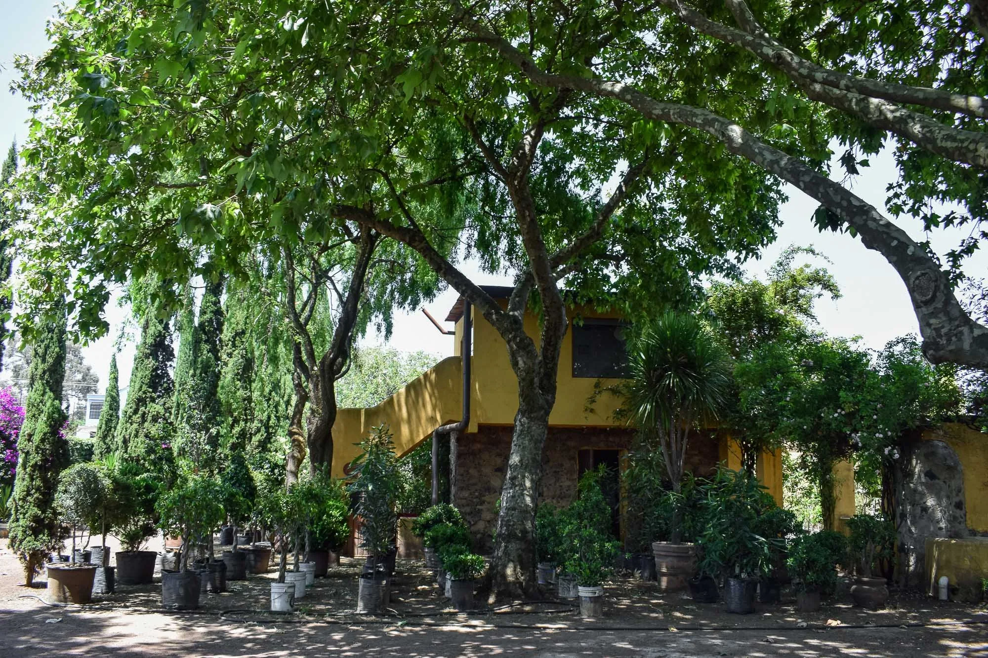 Vivero-9.jpg