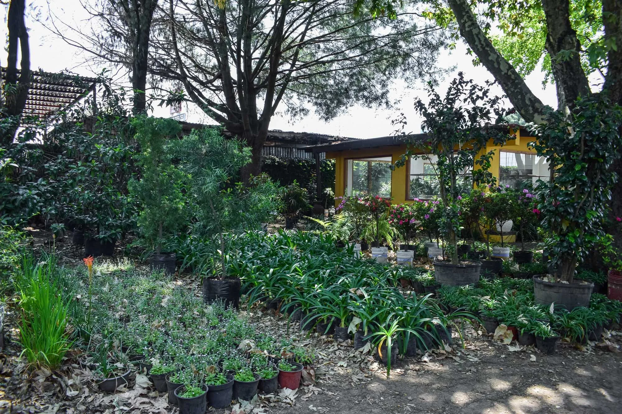 Vivero-15.jpg