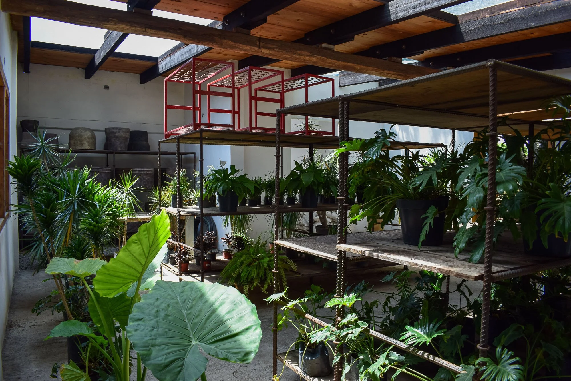Vivero-20.jpg