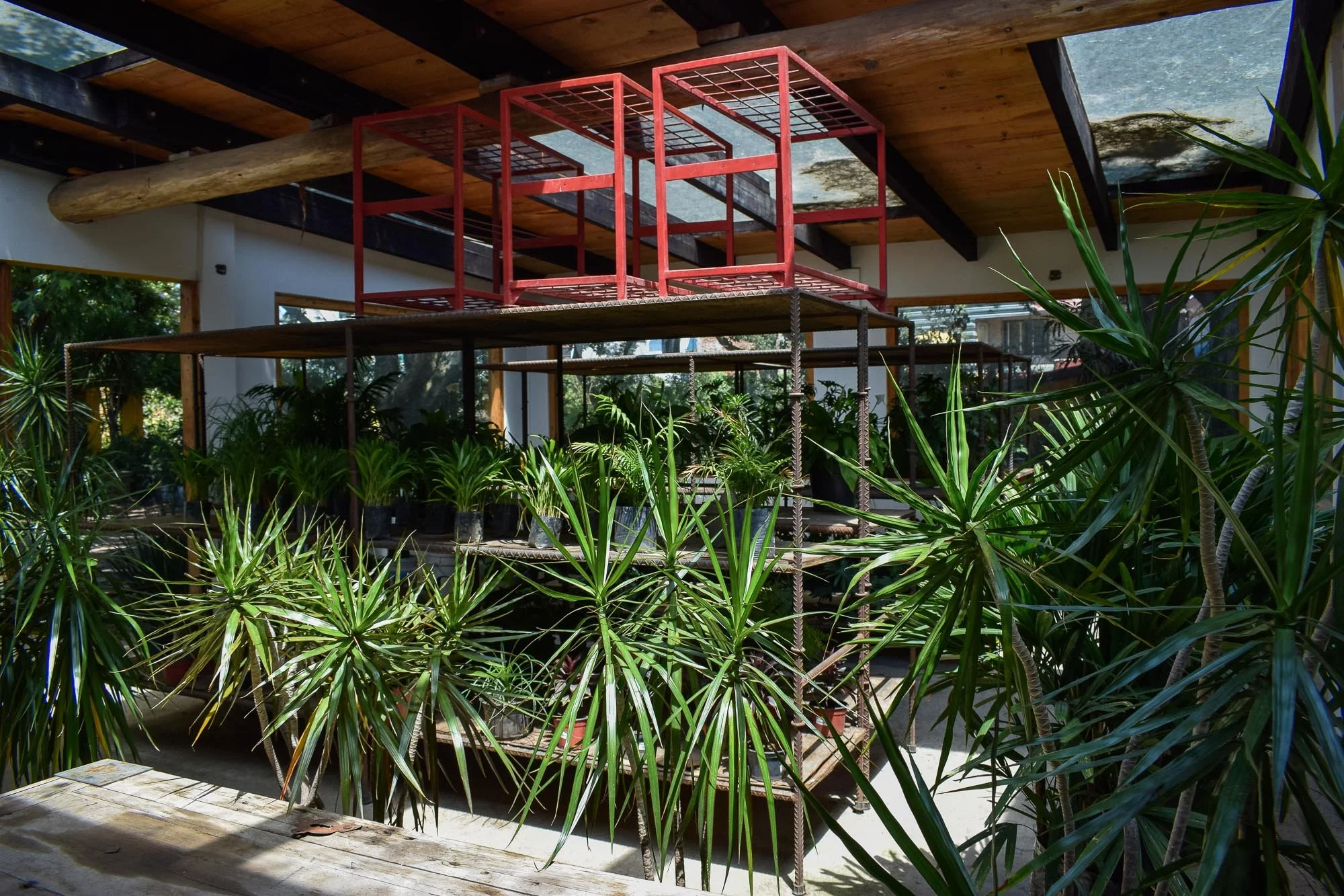 Vivero-23.jpg