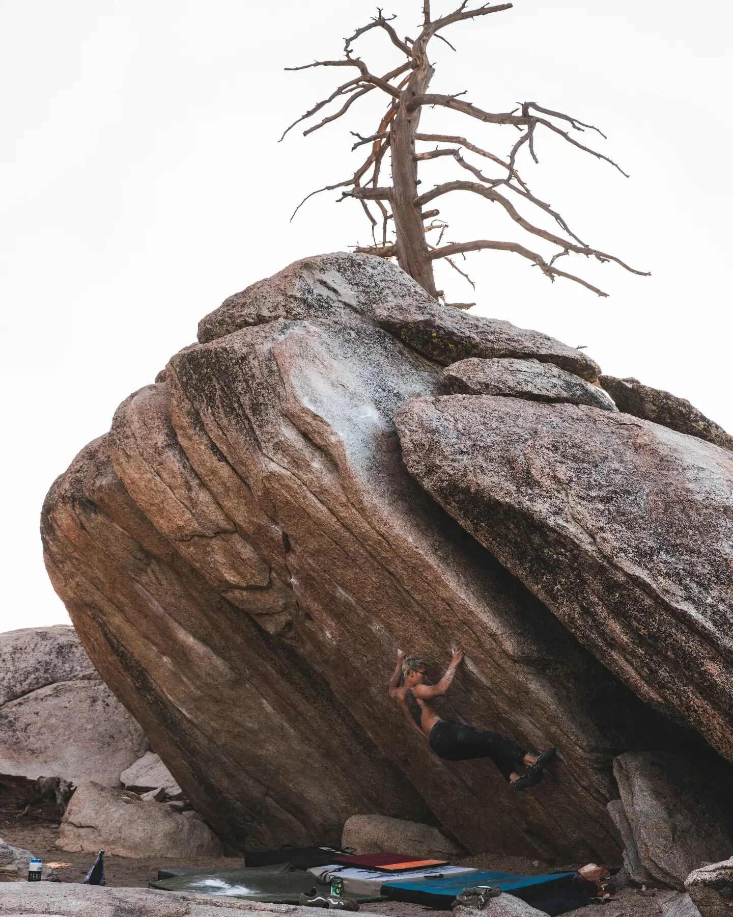 Tour de France Sit (V10/7C+)

Congratulations brother. 

@jimmithy1077 first V10 and it means a lot to him. Send him some love.

#TeamEvolv #AlwaysEvolv #Bouldering #ClimbLife #OptOutside #Climbing #RockClimbing #ClimbingWorldwide #BoulderShoulders #