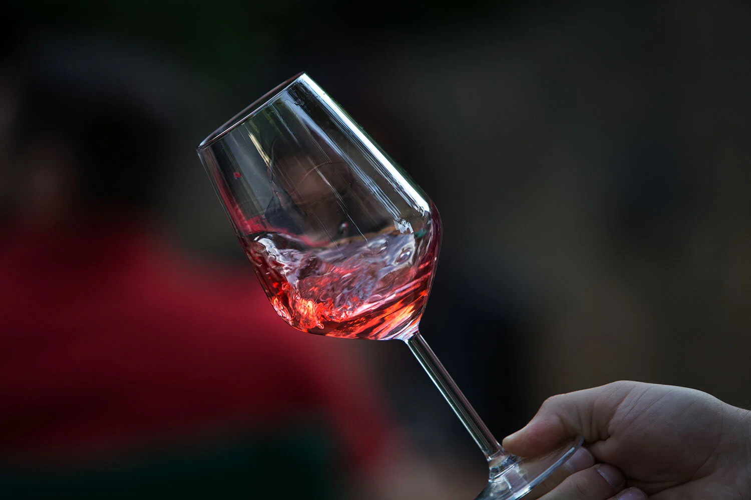 Exploring Healthy Wines