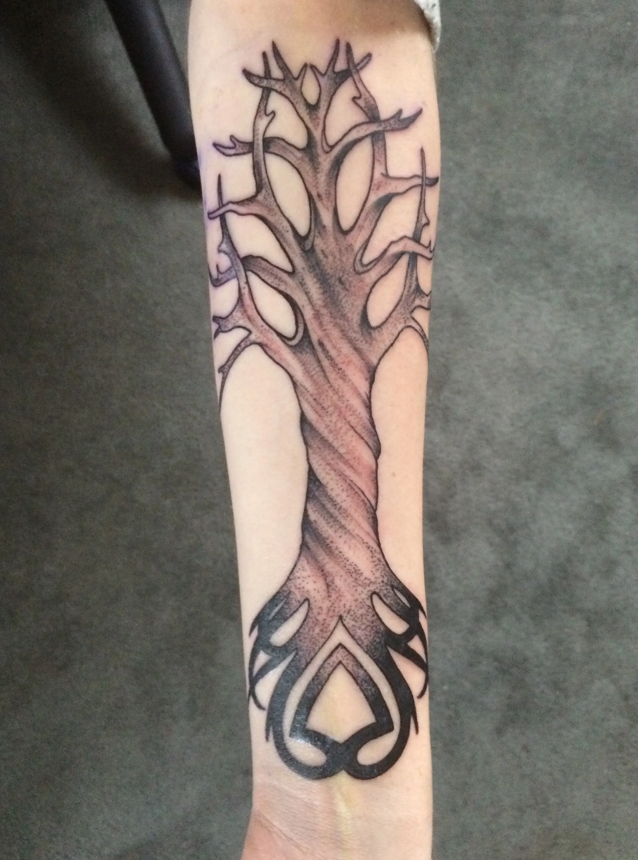 Celtic Tree-Final.JPG