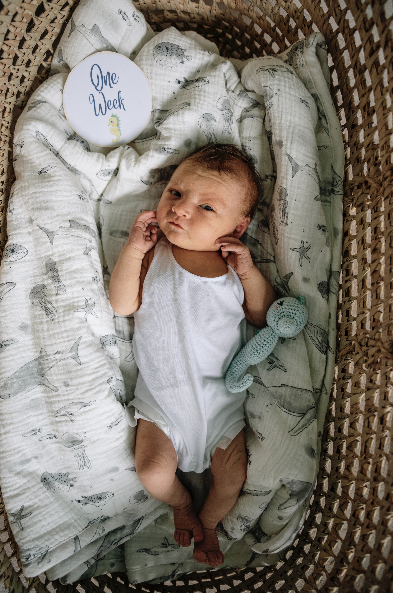 Screen Shot 2023-04-24 at 4.01.47 pm.png