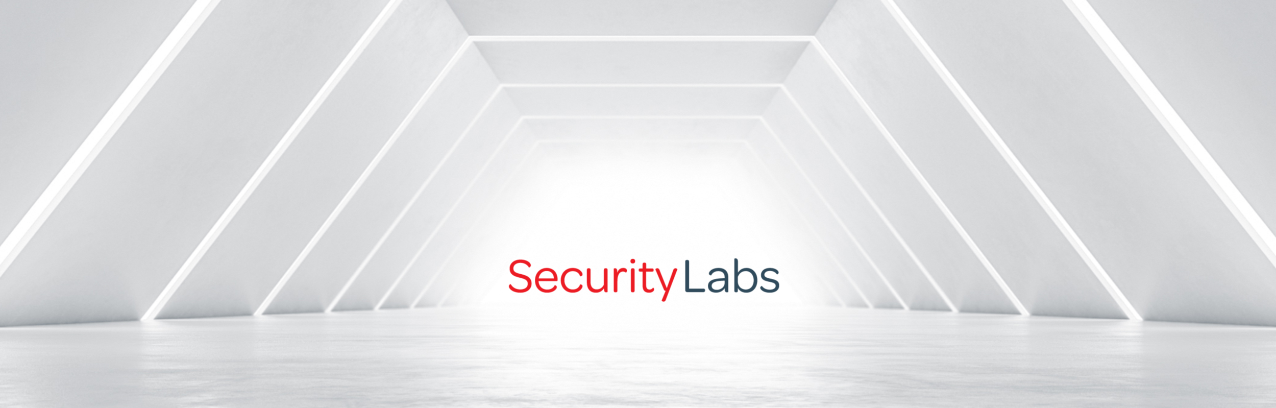 SecurityLabs_Footer-2.png