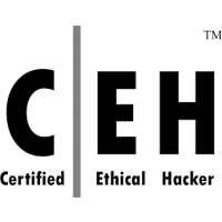 Certified_Ethical_Hacker_Security_Labs_Grey.png