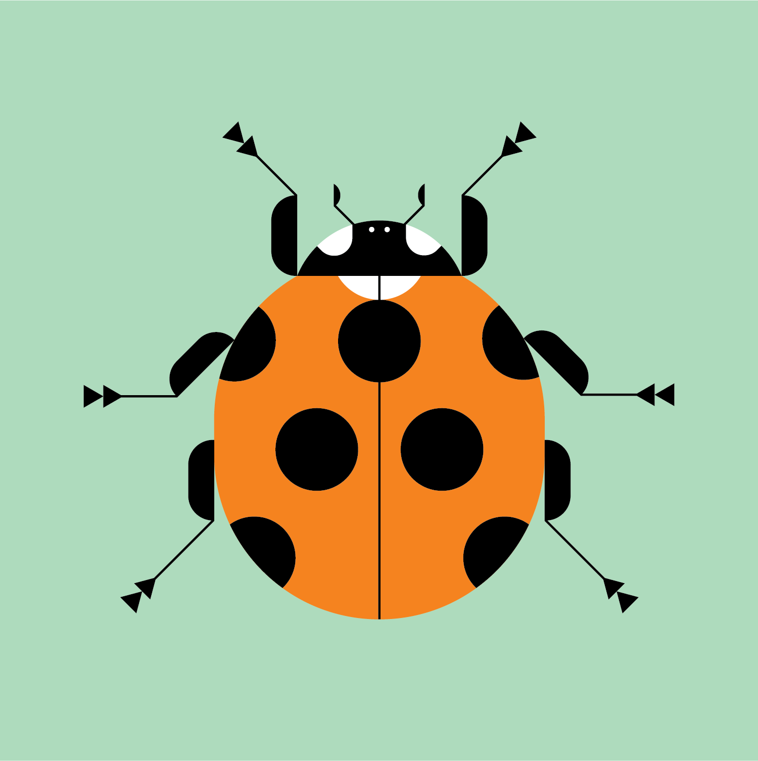 Ladybug
