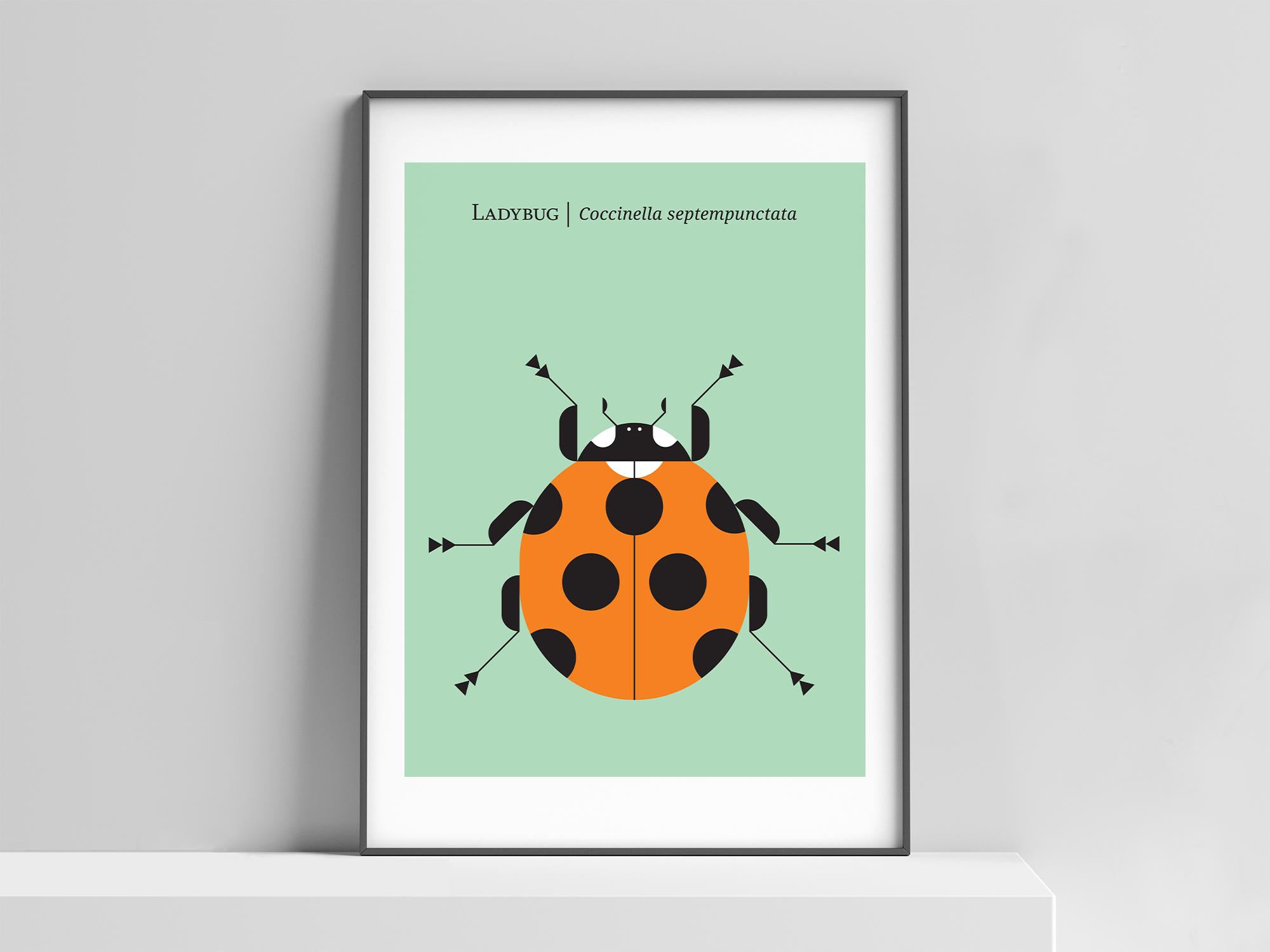 Christopher Dina Ladybug Green.png