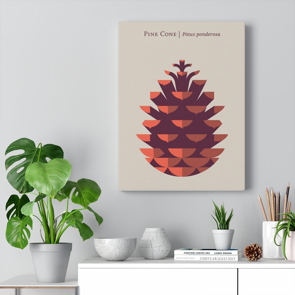 Framed Giclée Pine Cone Modern Art Print by Christopher Dina — CHRISTOPHER  DINA