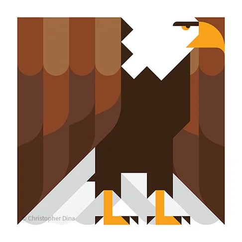 Bald Eagle.jpg