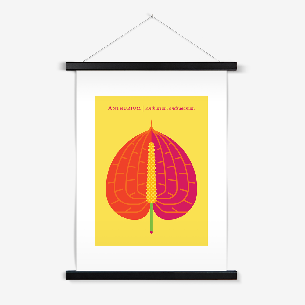 Nature: Anthurium Modern Art Poster Hanger Print by Christopher Dina   CHRISTOPHER DINA