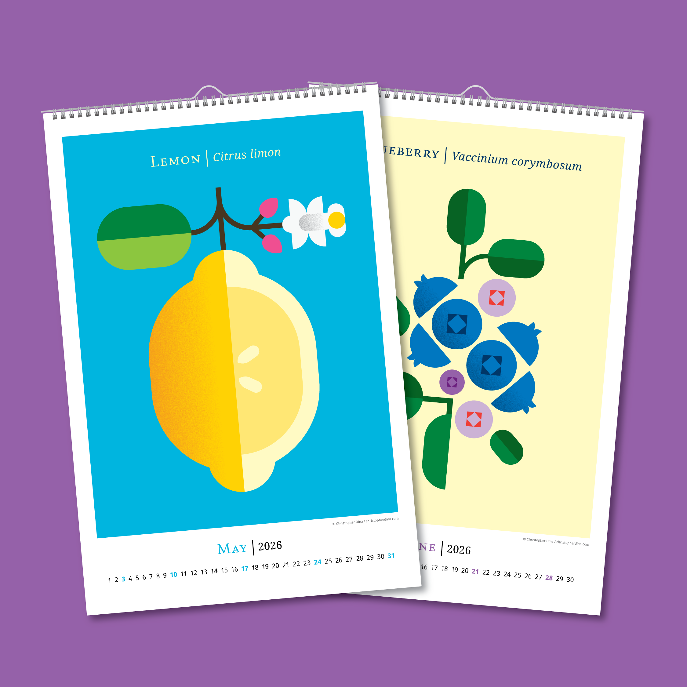 Calendar Double Page Assets Fruit-04.png