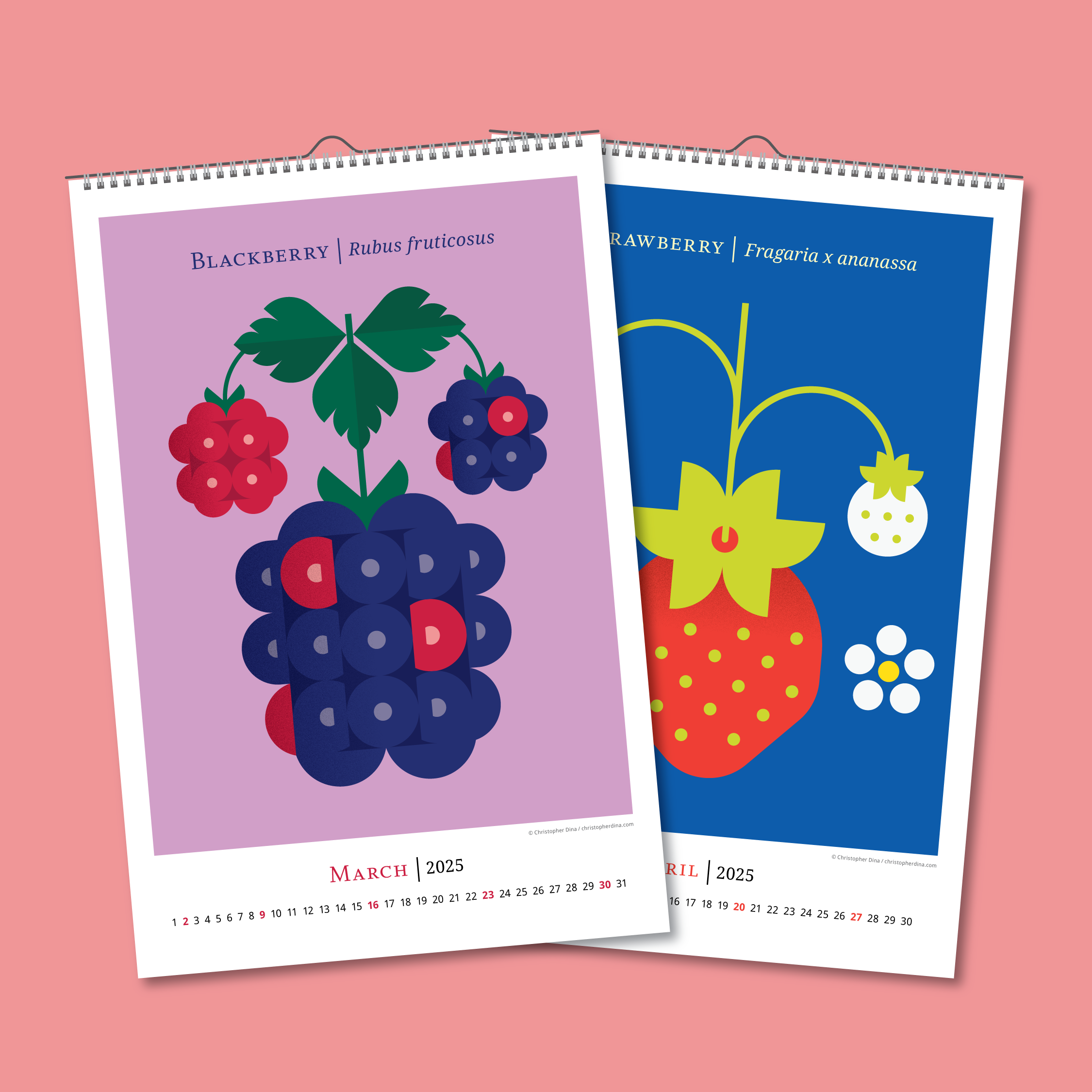 Calendar Double Page Assets Fruit-03.png
