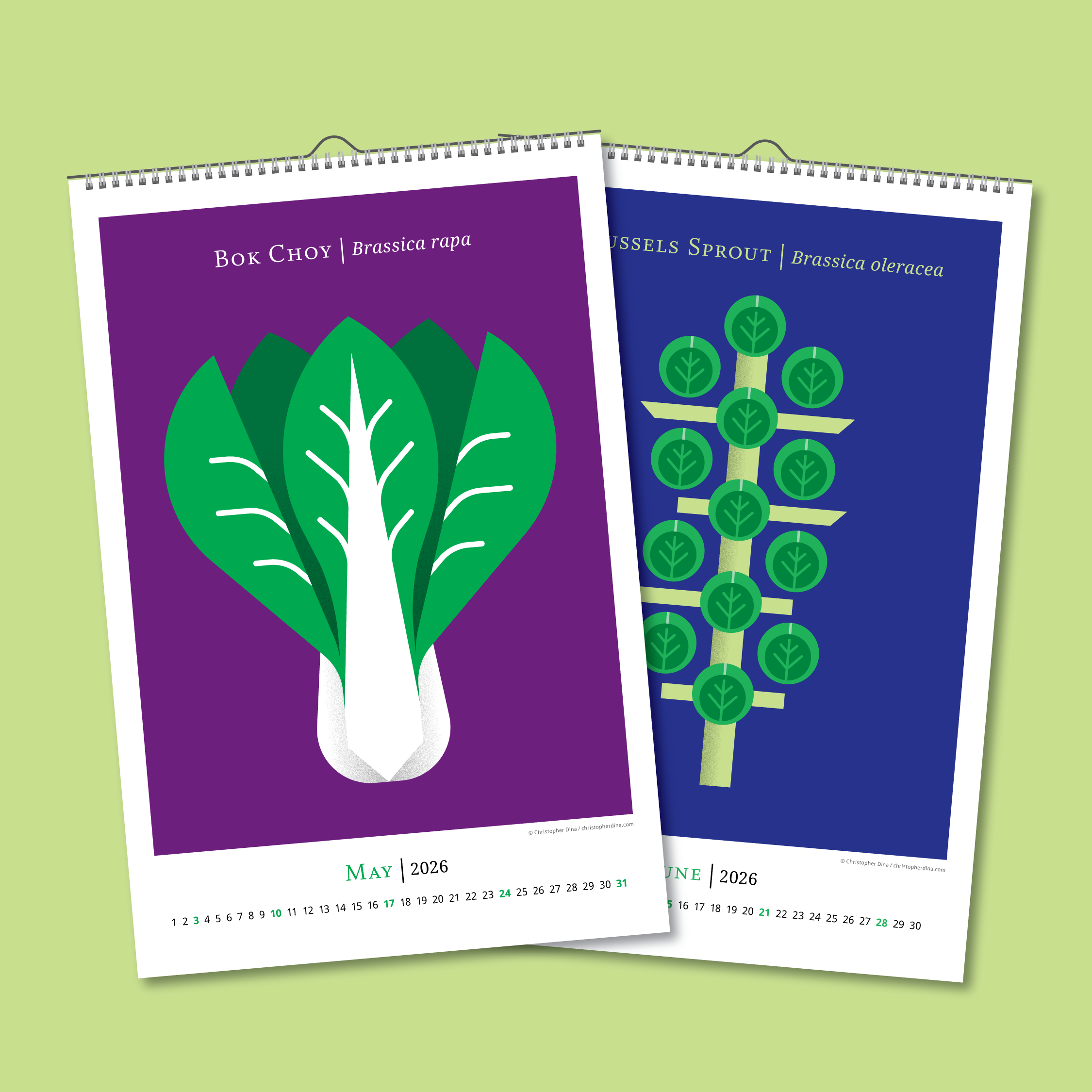 Calendar Double Page Assets Vegetables-04.png