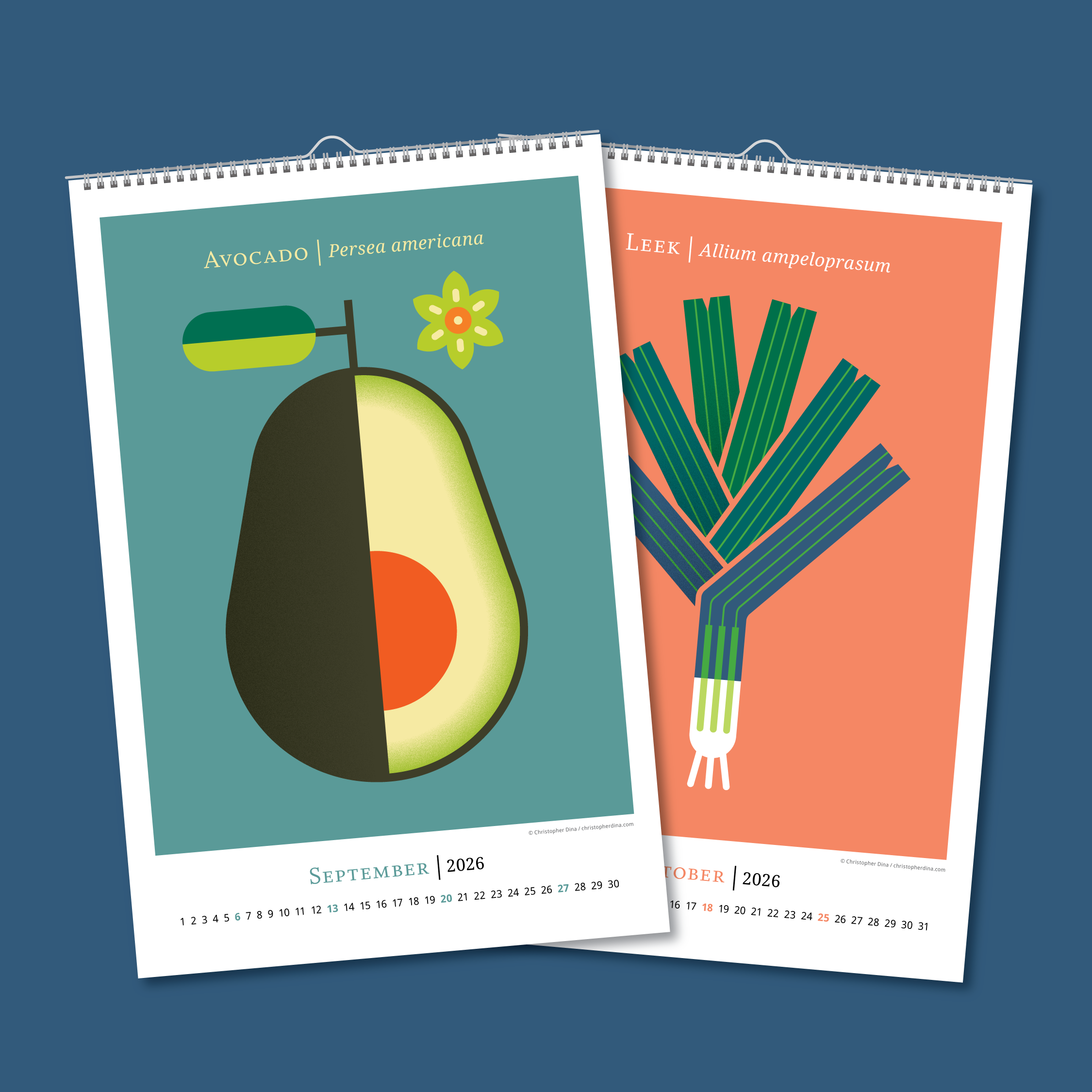 Calendar Double Page Assets Vegetables-06.png