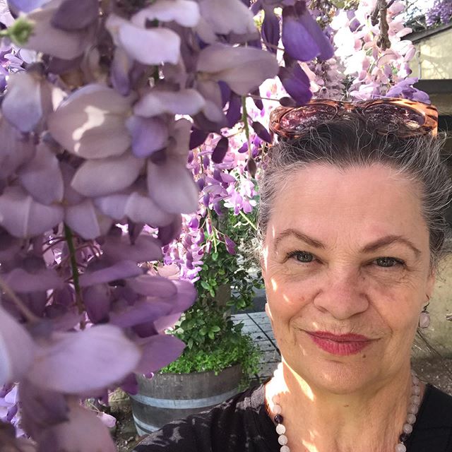 I love the delicate fragrance of Wisteria and the Angelic energy I feel when standing or sitting under it when in full bloom....
.
.
.
.
#wisteria #lilac #fragrantflowers #fragrance #parfum #perfume #aromatique #scent #gardens #parfumerie #northernrivers #lovemybusiness #fragrantgoddess #julienelsonartisanperfumer #shadesofpurple #selflove #beinginnature