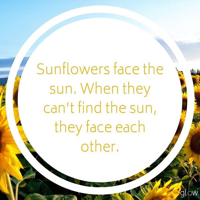 Follow the lead of Momma Earth&rsquo;s flower babies.  They are pretty damn wise.  Find your tribe.  Lean on them. 🌻🌻🌻