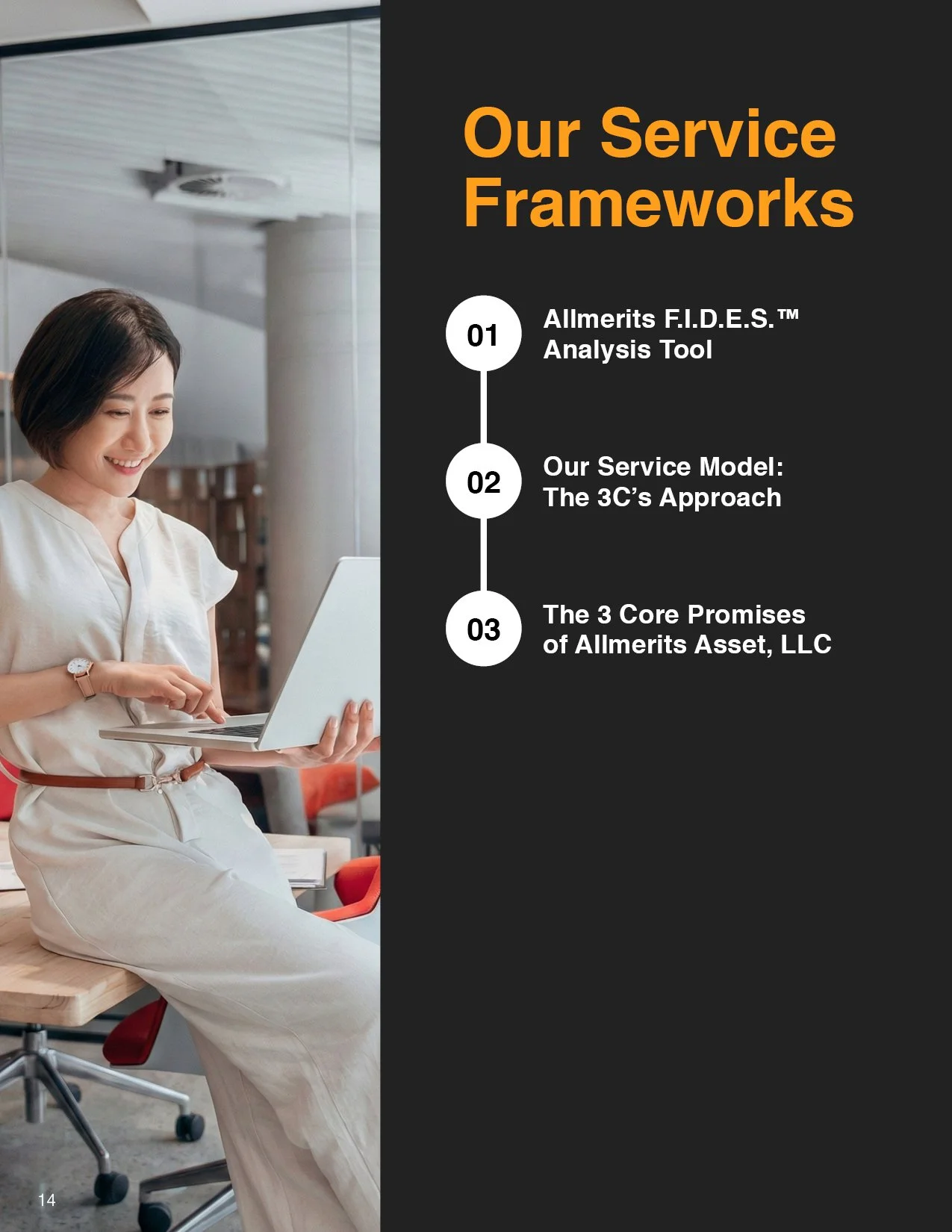 AllMerits_Brochure14.jpg