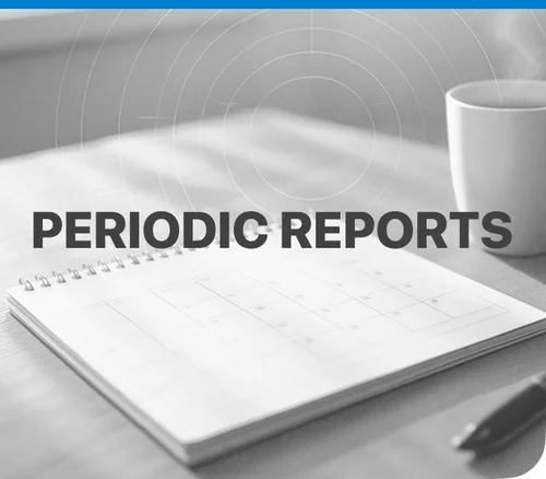 Periodic Reports