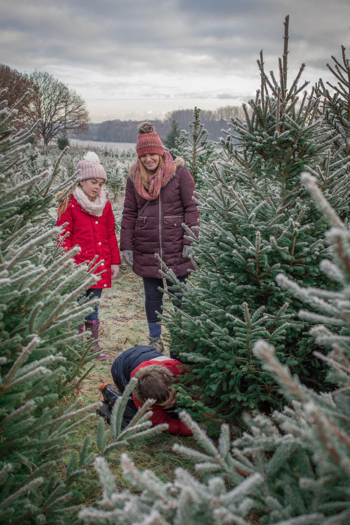 MethleyXmasTrees_PollyABaldwin_IMG_6481_lowres.jpg