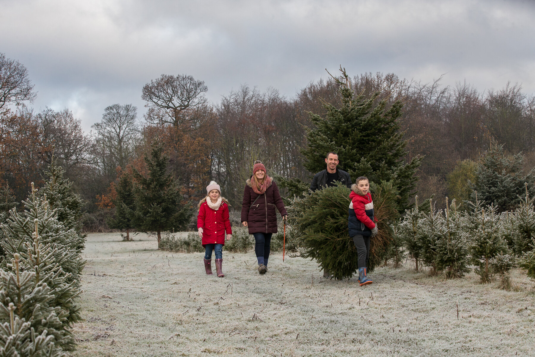 MethleyXmasTrees_PollyABaldwin_PB1_7691_lowres.jpg