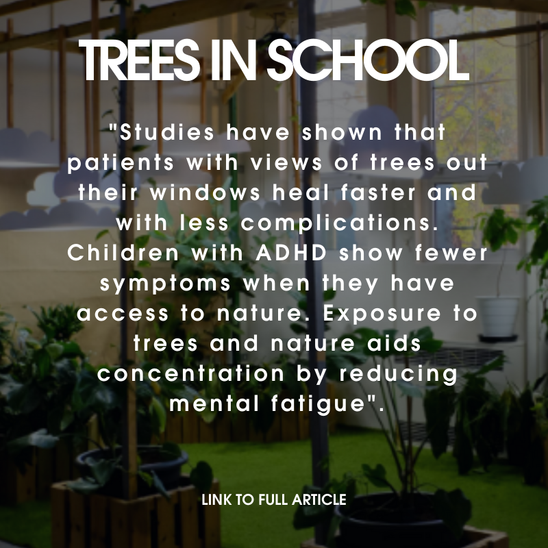 Trees In School