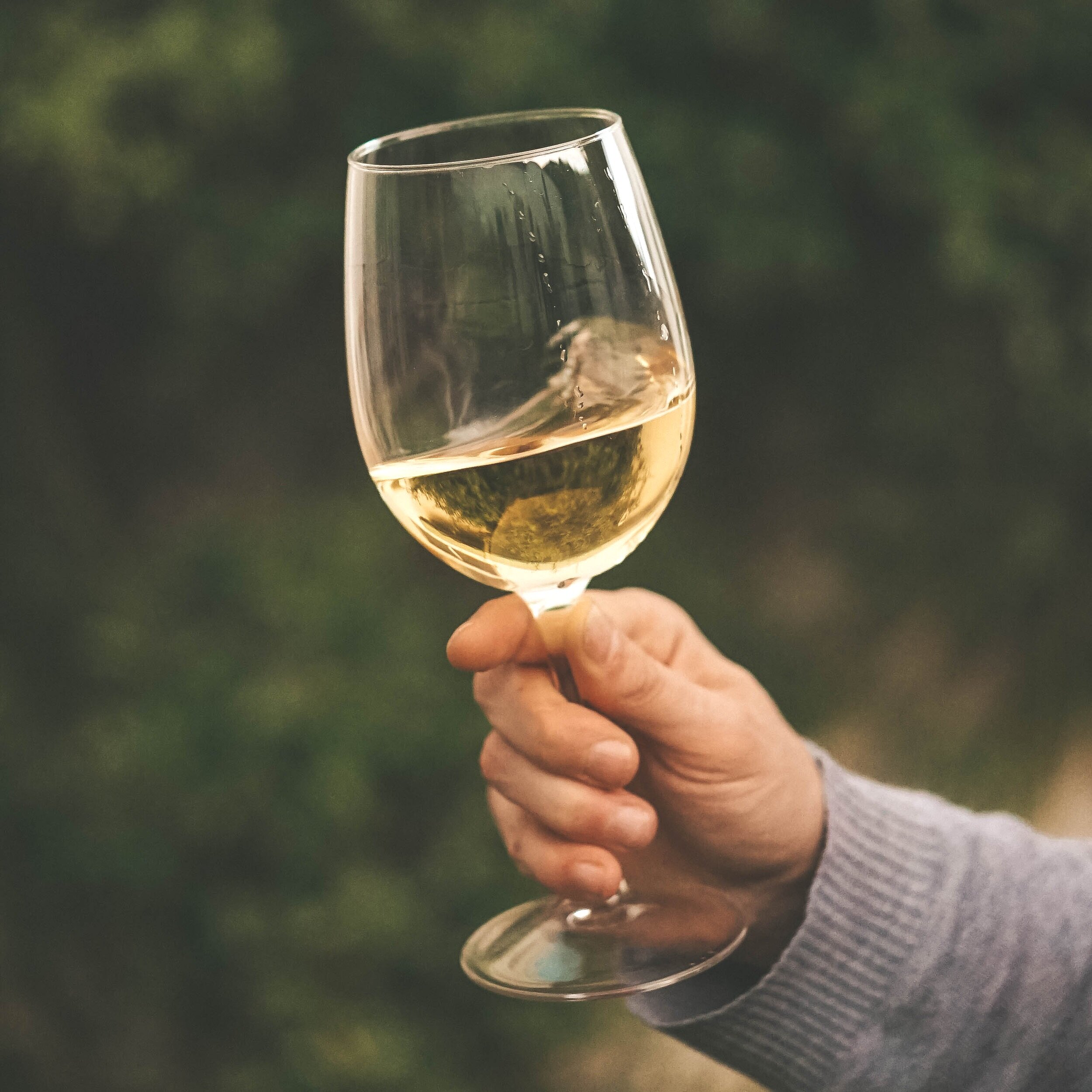 5 of the Best Reason Why You Should Love White Wine | The Wine Tasting Club