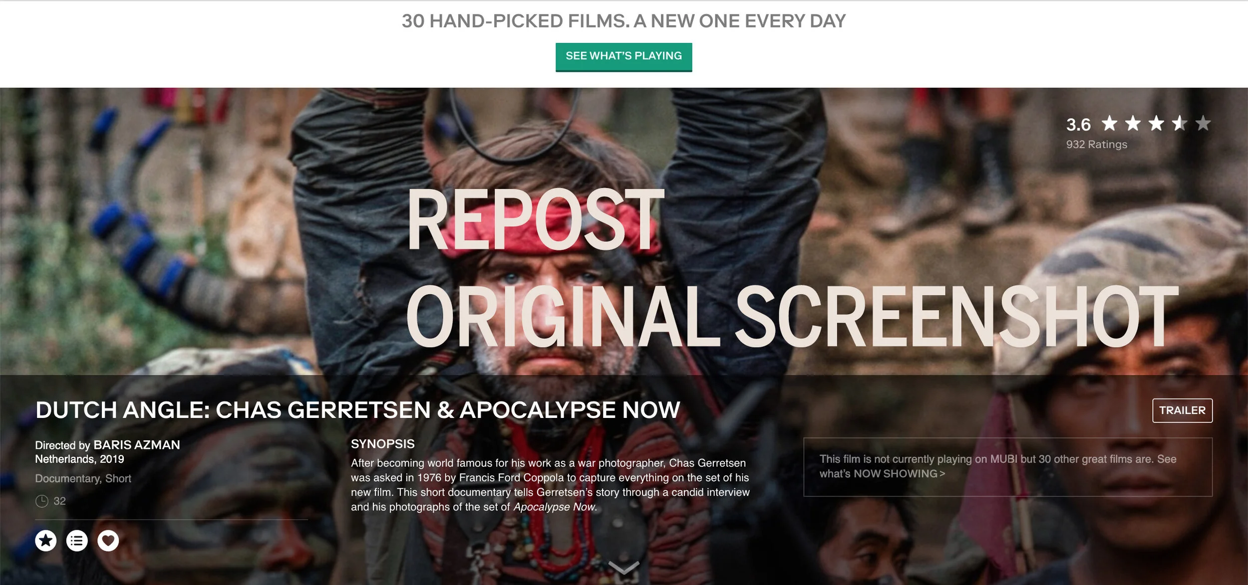 mubi now showing