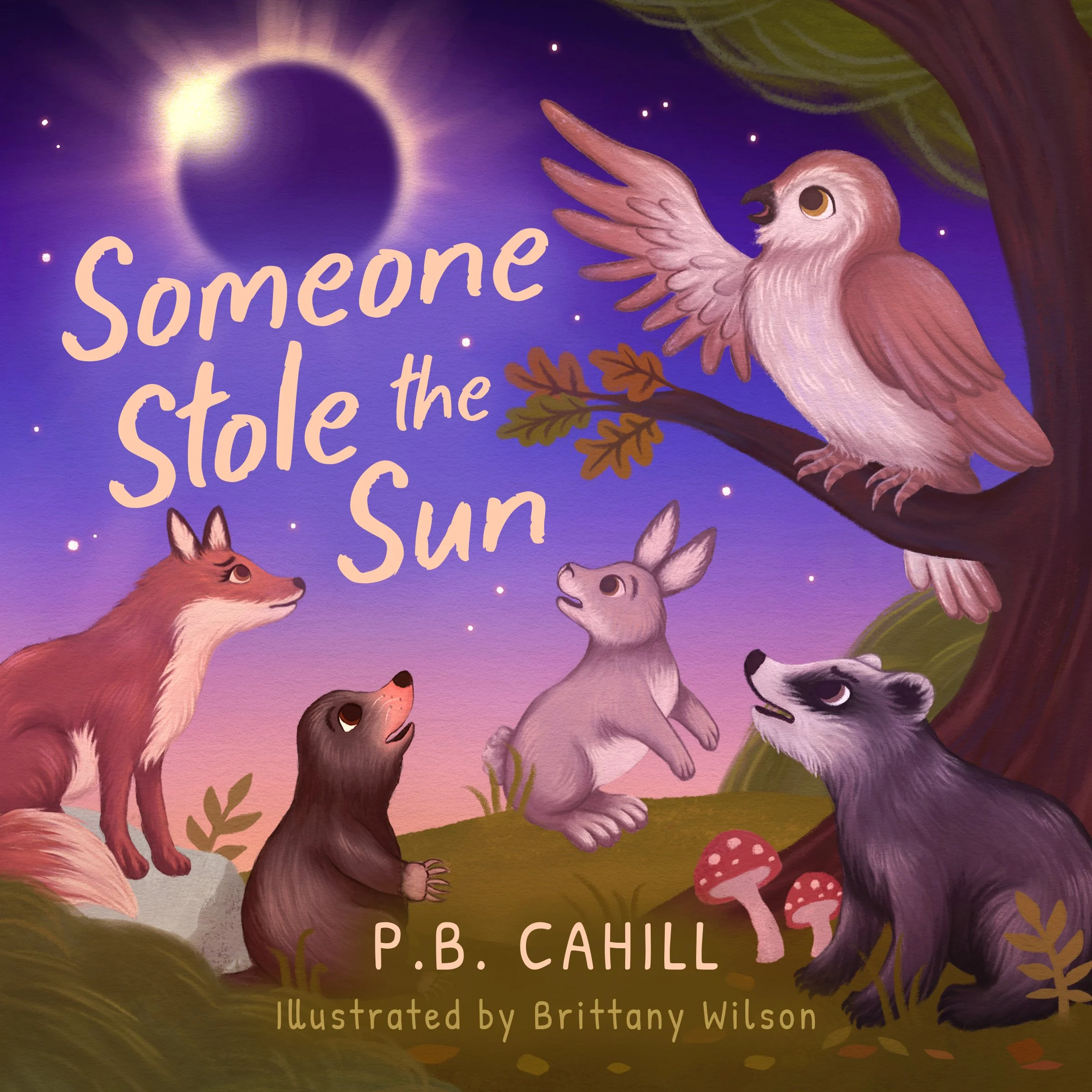 Cahill-SomeoneStoletheSun-FrontCover-FrontFinal.jpg