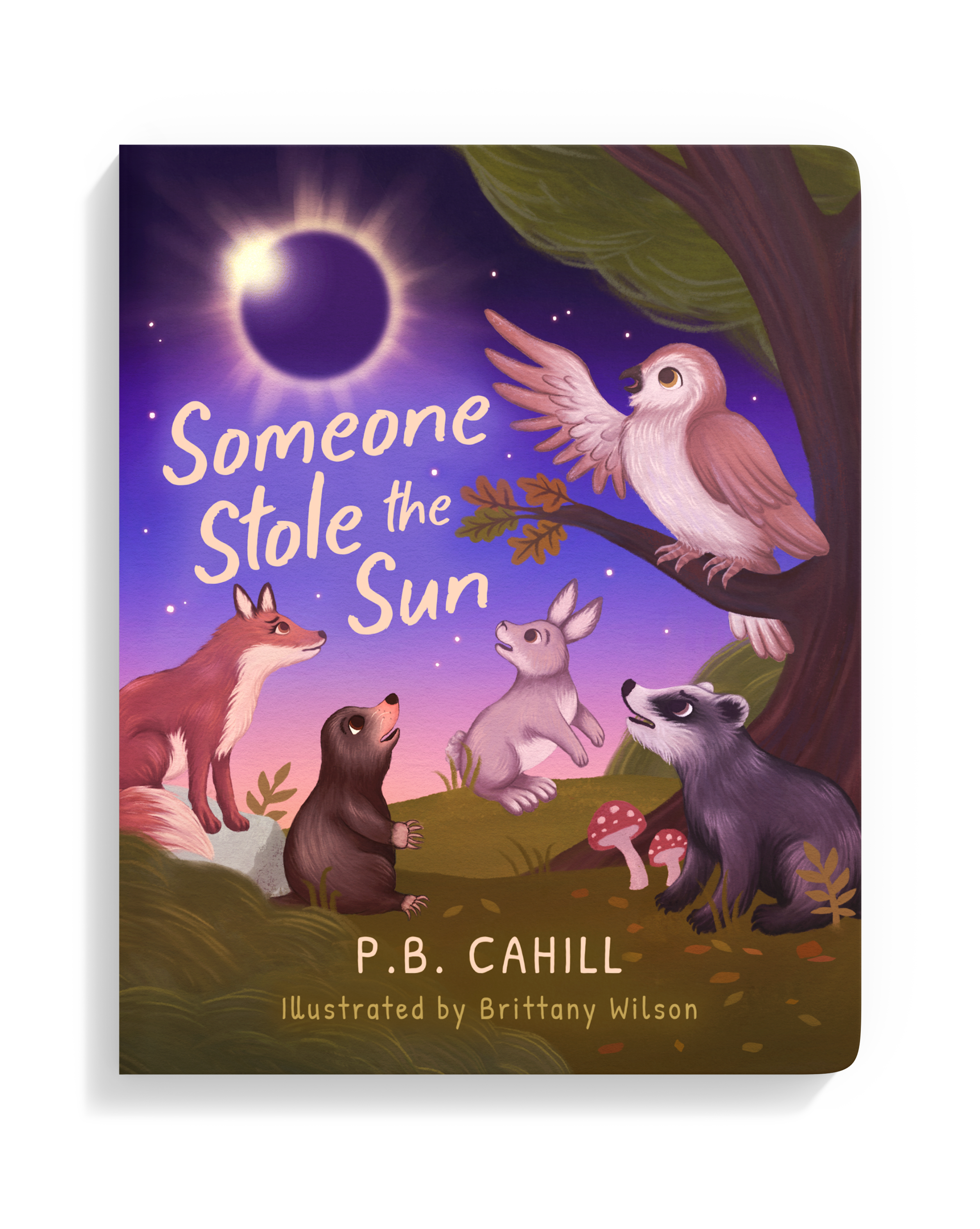 Illustrations, Interior Formatting & Typesetting