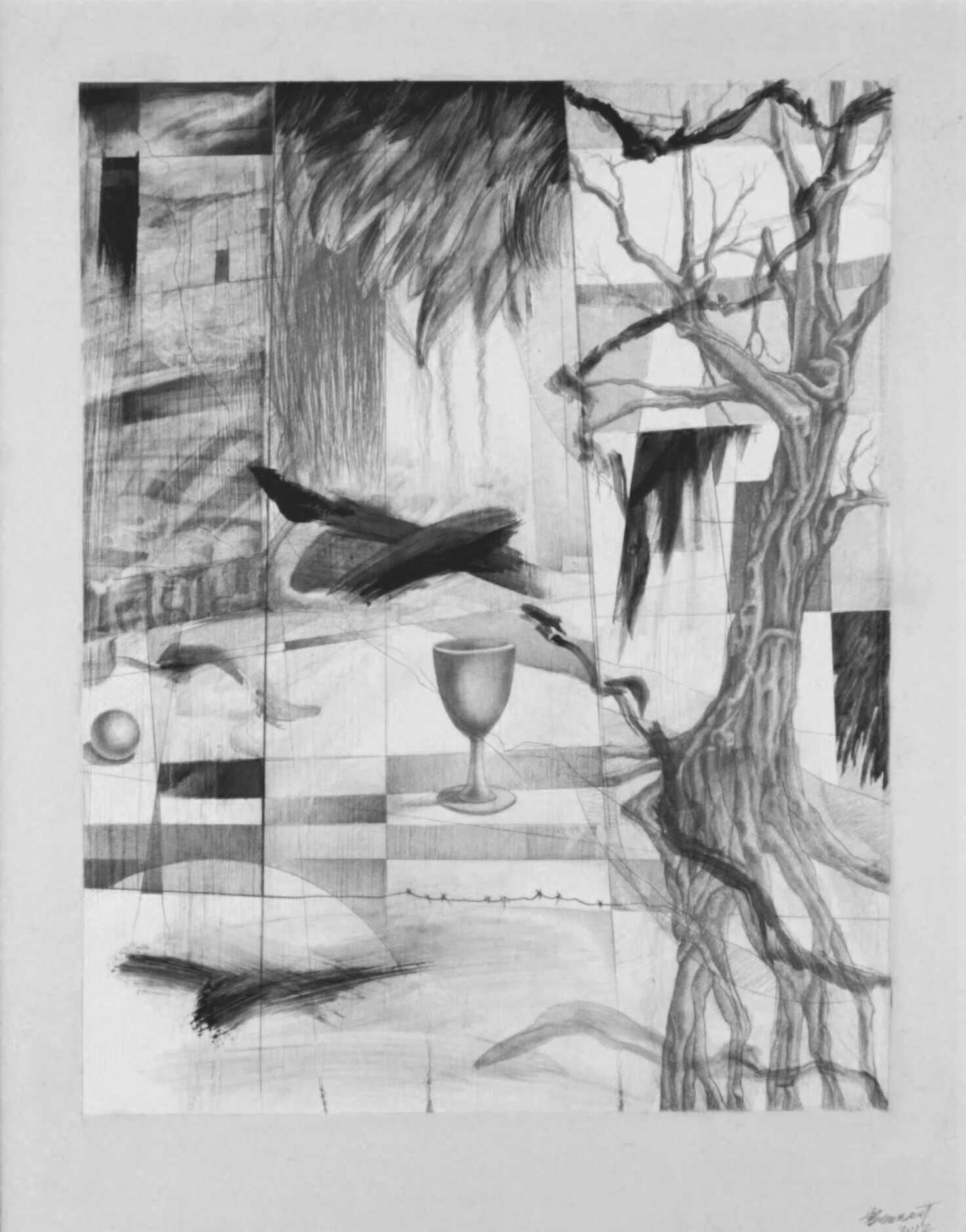 14+x+11+2012+graphite.jpg