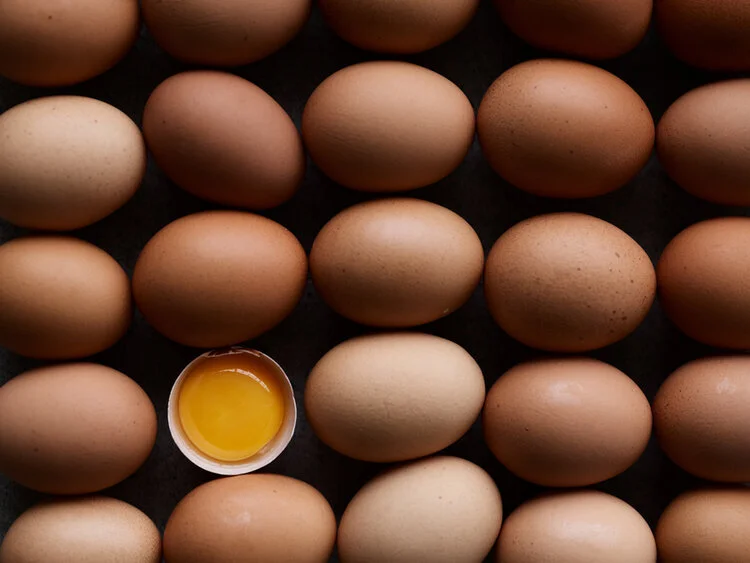 Sport og træning øger behovet for protein