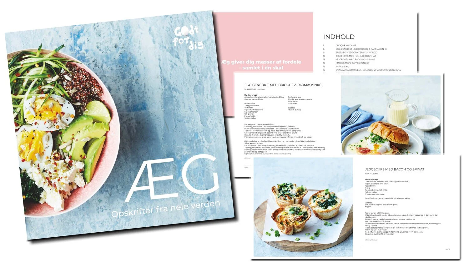 Hent vores mange materialer om danske æg