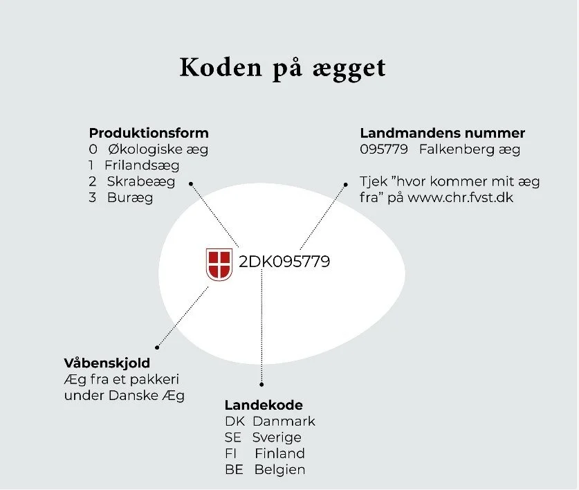 Forklaring af koden på æg